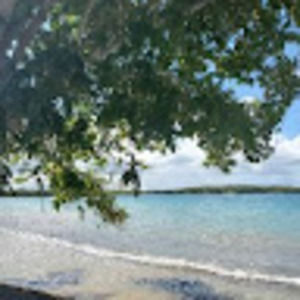 Meet your Posher, Isabella